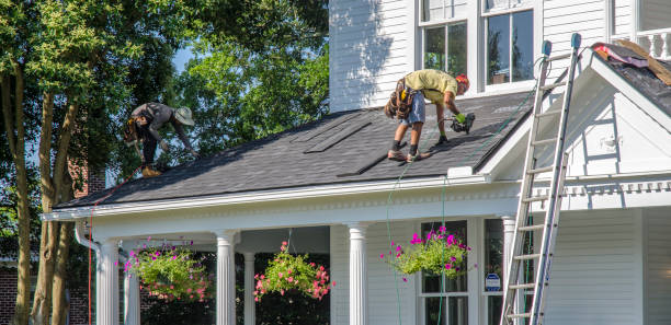 Best Chimney Flashing Repair  in Shenandoah, IA